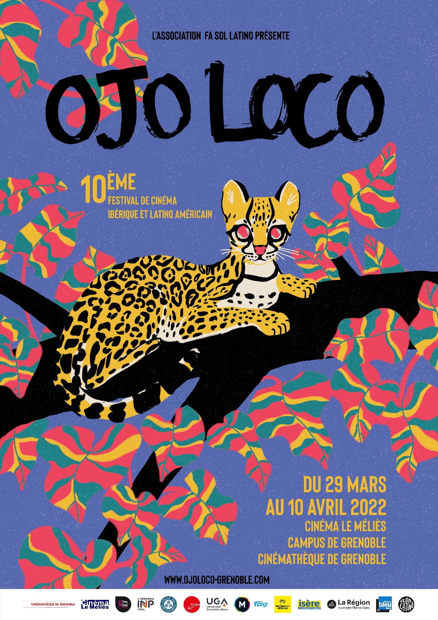 Festival OJO LOCO